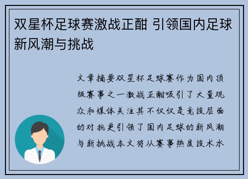 双星杯足球赛激战正酣 引领国内足球新风潮与挑战